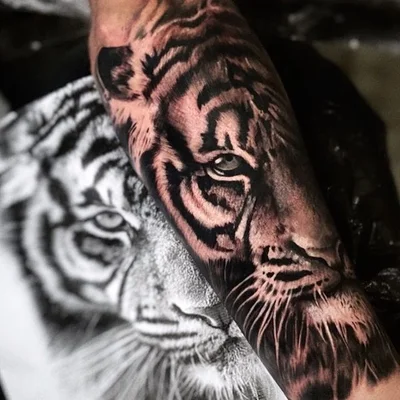 Theo Descending tattoo 015