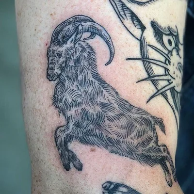 The Tattoo Room tattoo 012
