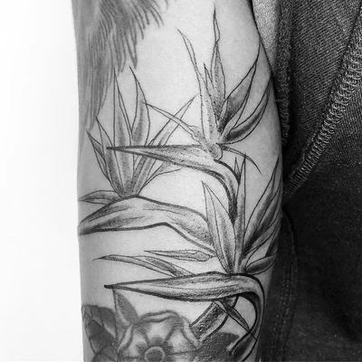 JS Hamilton tattoo 047