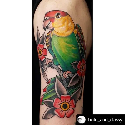 David Maier tattoo 027