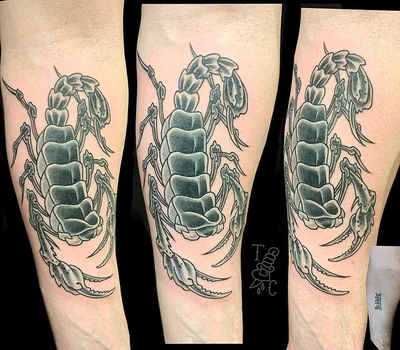 Tiffany Collins tattoo 049