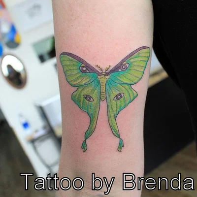 Tiger Lotus Tattoo tattoo 025