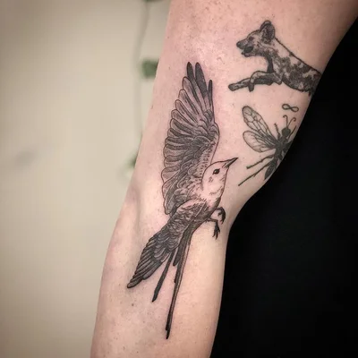 Tina Poe tattoo 026