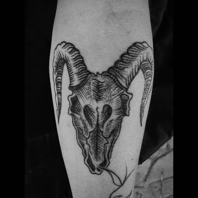 Papo tattoo 041