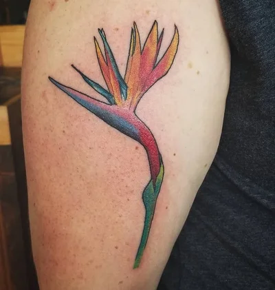 Nicole Eveland tattoo 037