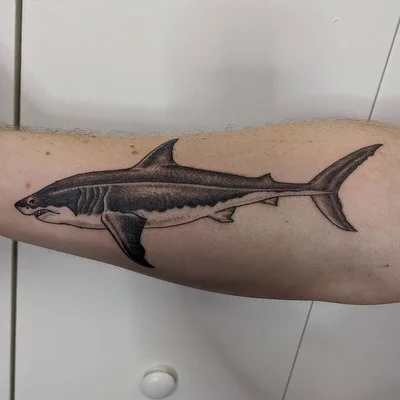 Tom B Stone tattoo 031