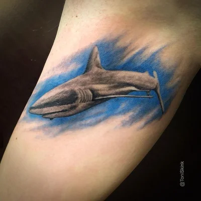 Toni Skink tattoo 048