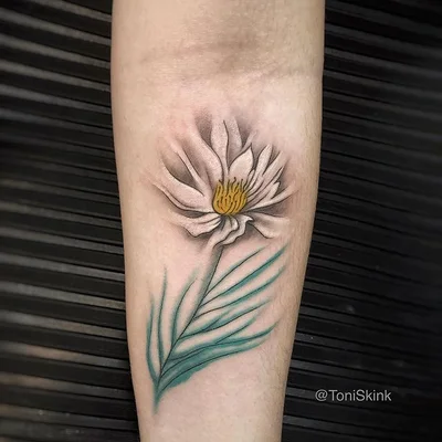Toni Skink tattoo 050