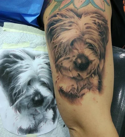 Tony tattoo 015