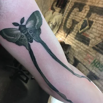 Tony DeGrazia tattoo 013
