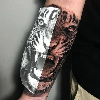 Tony Santos tattoo 024
