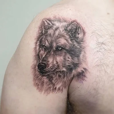 Tora Sumi Tattoo tattoo 034