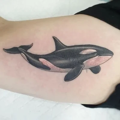 Tora Sumi Tattoo tattoo 044