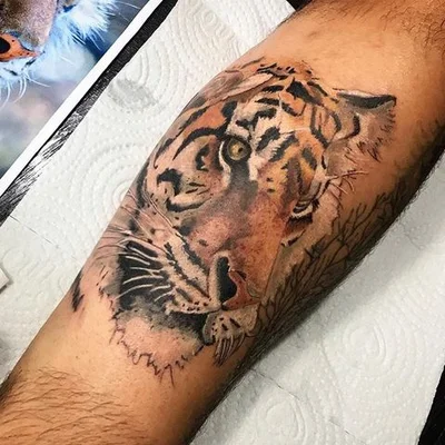 Traço Nobre tattoo 012