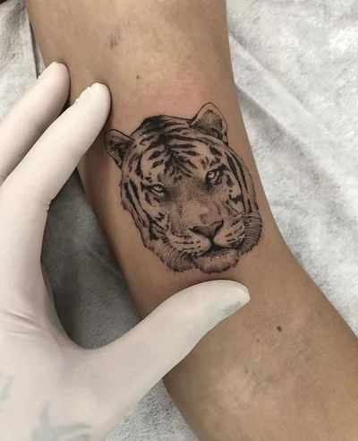 Traço Nobre tattoo 038