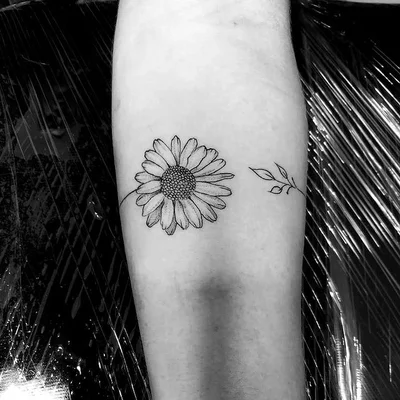 Traços Atelier tattoo 043