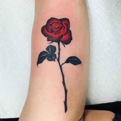 Tribe Tattoo Denver tattoo 050