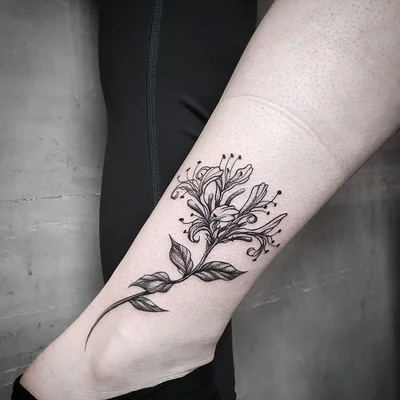 Tribu Tattoo tattoo 043