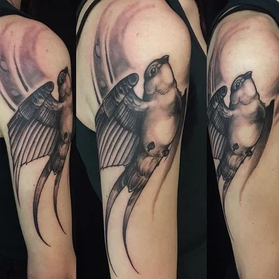 Sébastien Mas tattoo 037