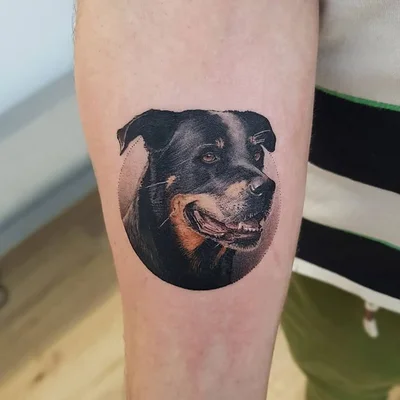 Truecanvas tattoo 037