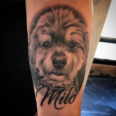 Alex Killington tattoo 023