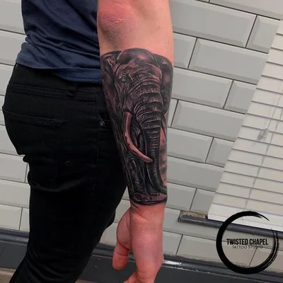 KING KIMBERLEY tattoo 038