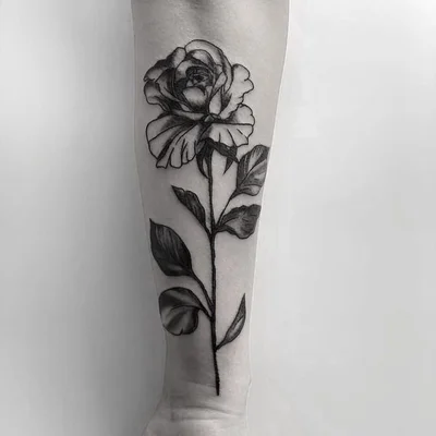TygerWolf tattoo 050