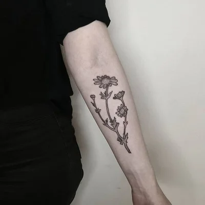 Studio Tatuażu Tygrys tattoo 046