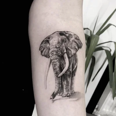 Ulas Yesilyurt tattoo 009