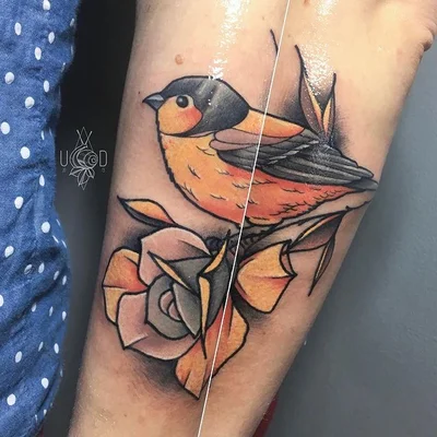 Ilya Tarlykov Defy tattoo 017