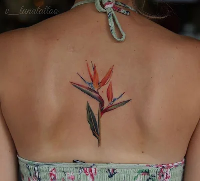 Vanessa Ross tattoo 012
