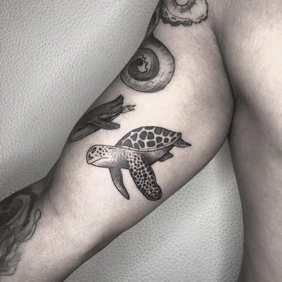 Valentino Mozzo tattoo 031