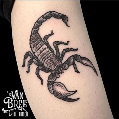 Van Bree Tattoo tattoo 016