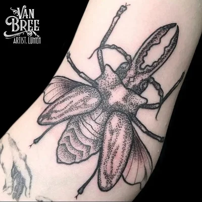 Van Bree Tattoo tattoo 024