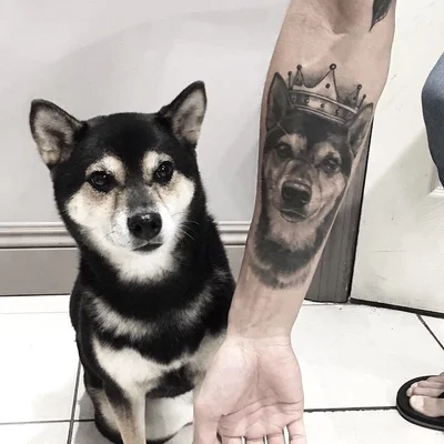 Victor Modafferi tattoo 038