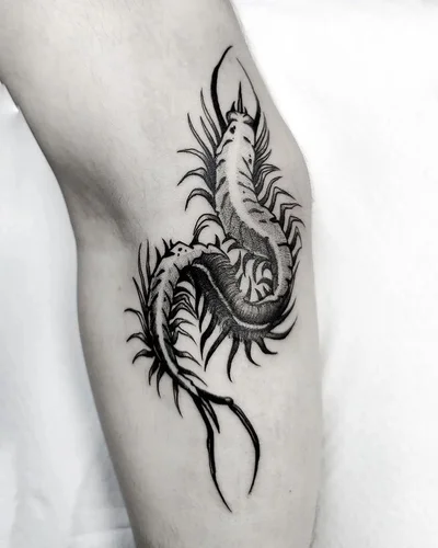 Vida Pirata Tattoo tattoo 007