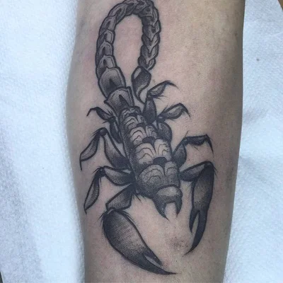 Vida Pirata Tattoo tattoo 012
