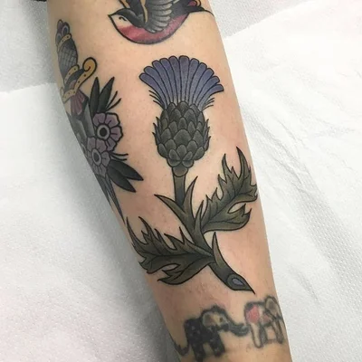 Vida Pirata Tattoo tattoo 047