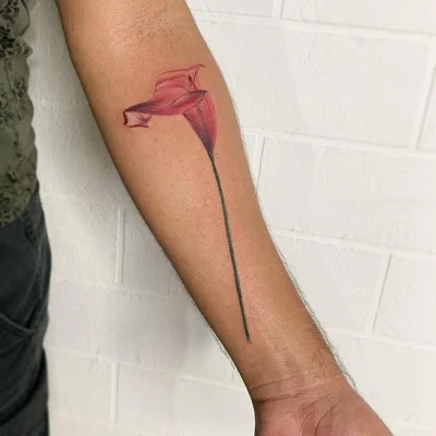 Vily tattoo 014