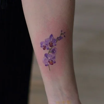 Vily tattoo 040