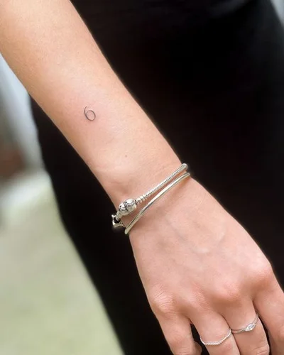 Vinogradska tattoo 012