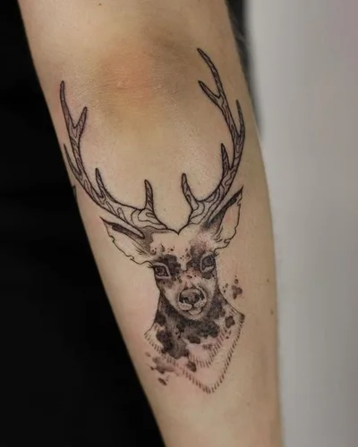 Vinogradska tattoo 024