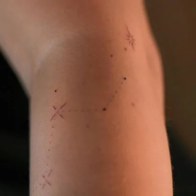 Vinogradska tattoo 029