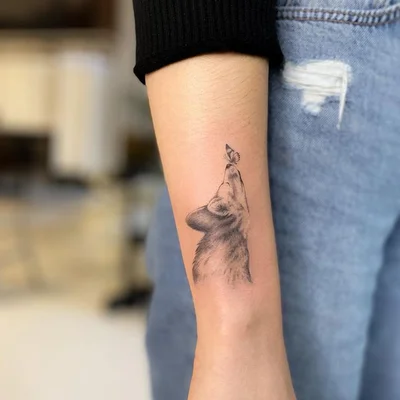 Vinogradska tattoo 035