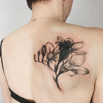 Vinogradska tattoo 038