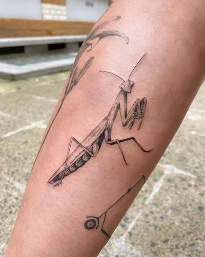 Vinogradska tattoo 043