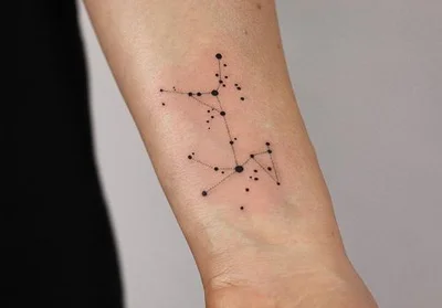 Vinogradska tattoo 044