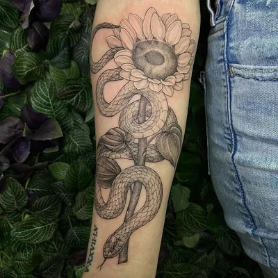 Frank tattoo 013