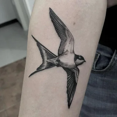 Crash Tattoo tattoo 045