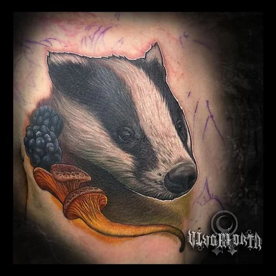 Steph Finnola Reed tattoo 014